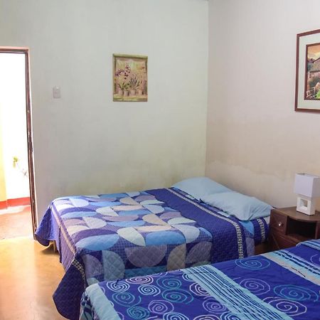 Brabant Hostal Nazca Bagian luar foto